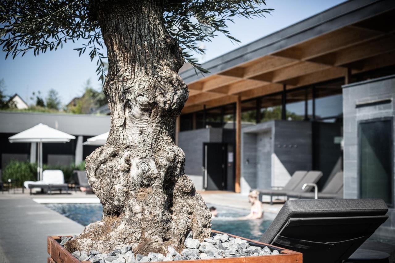 Hotel La Source Des Sens (Adults Only) Morsbronn-les-Bains Exterior foto